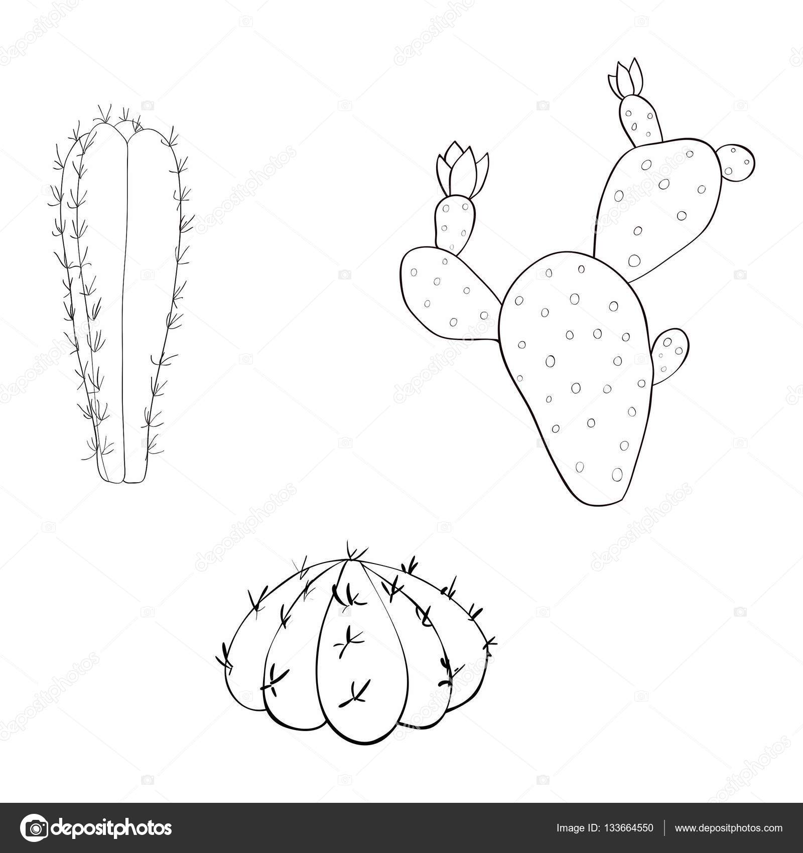 Free Free Cactus Outline Svg 854 SVG PNG EPS DXF File