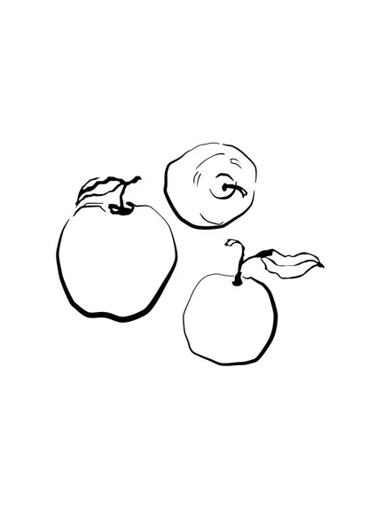 Dibujo dibujado a mano manzana Eco alimentos. Ilustración vectorial. fruta de pera, sobre el fondo blanco . — Vector de stock