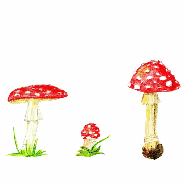 Color pencils vector fly agaric mushrooms. Isolated on white background. — Stock Vector