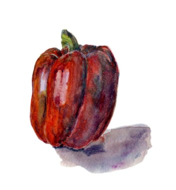 Kırmızı biber. El suluboya resim beyaz zemin üzerine çekilmiş.,