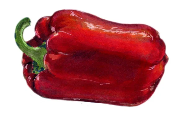 Red bell pepper. — Stock Photo, Image