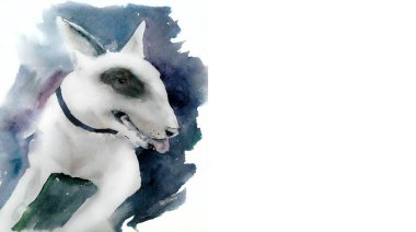 Suluboya köpek - 2018 sembolü. Bir boğa korkunç gösteren resim