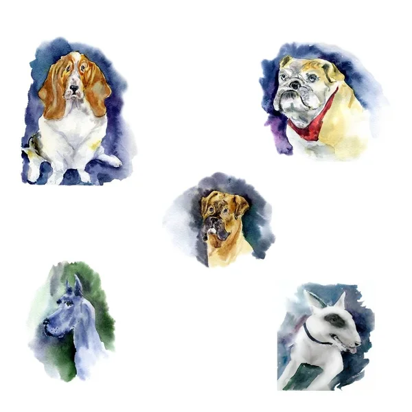 Suluboya köpek - 2018 sembolü kümesi. Bir köpek resmi