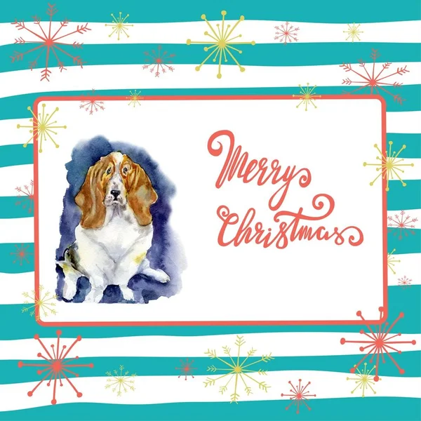 Portrait of Christmas dog. Merry Christmas and New Year poster. Basset hound with merry Christmas letters on a striped background with snowflakes.