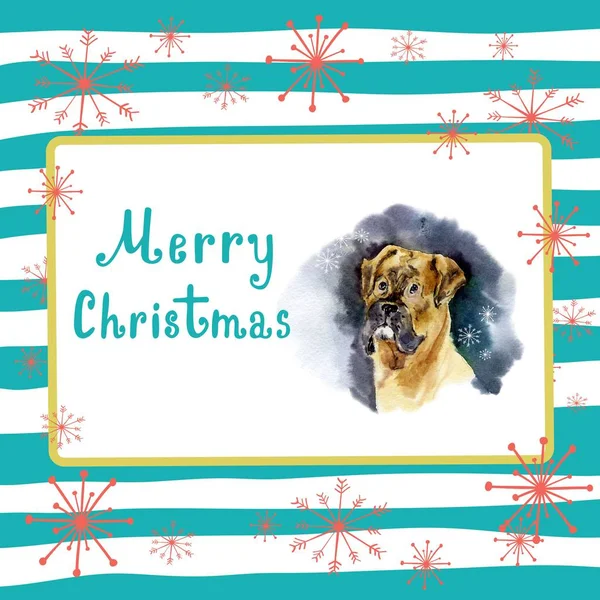 Portrait of Christmas dog. Merry Christmas and New Year poster, greeting card. Boxer dog with merry Christmas letters on a striped background with snowflakes.