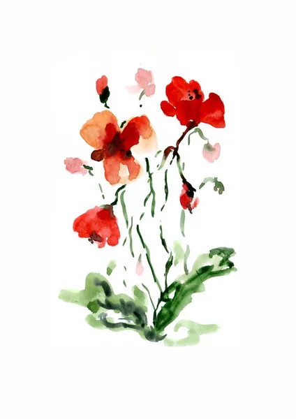 beyaz zemin üzerine suluboya haşhaş