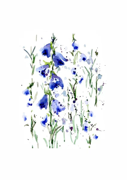 İlk Bahar kır çiçekleri - mavi orman çiçekleri Illustration. El suluboya resim beyaz zemin üzerine çekilmiş..