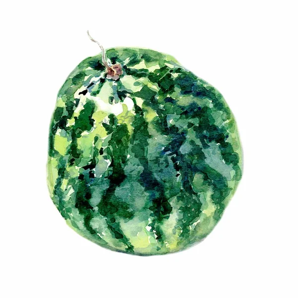 Hand getekend aquarel van fruit watermeloen op witte achtergrond. Raster illustratie. — Stockfoto