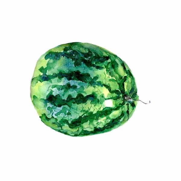 Hand getekend aquarel op witte achtergrond. Raster illustratie van fruit watermeloen — Stockfoto