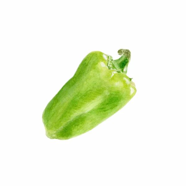 Aquarell pflanzliche grüne Paprika Nahaufnahme isoliert auf weißem Hintergrund. Handbemalung — Stockfoto