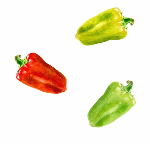 Σετ ακουαρέλας λαχανικών πιπεριά closeup που απομονώνονται σε λευκό φόντο. — Φωτογραφία Αρχείου