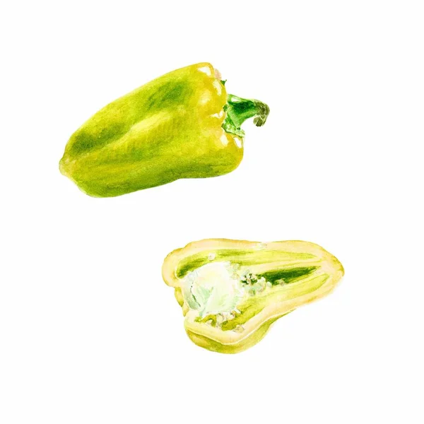 Aquarell-Gemüse. Scheibe gelber Paprika Nahaufnahme isoliert auf weißem Hintergrund. — Stockfoto