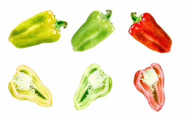 Set aquarel plantaardige paprika close-up geïsoleerd op witte achtergrond. — Stockfoto