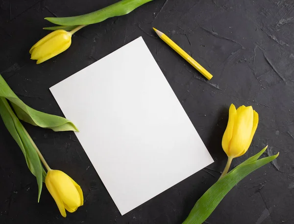 Yellow tulips on the edge of white paper for text on a dark background. Copy space — Stock Photo, Image