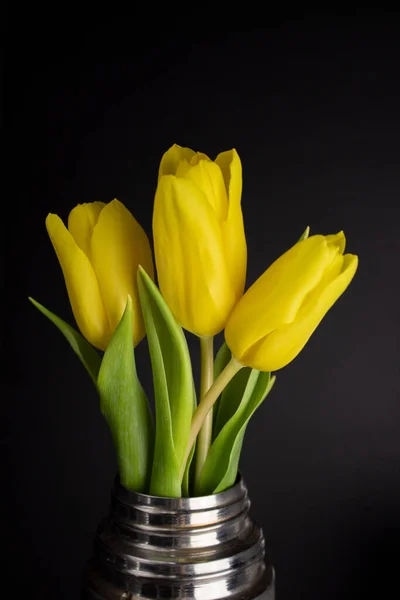 Yellow Tulips Black Background Metal Vase Close — Stock Photo, Image