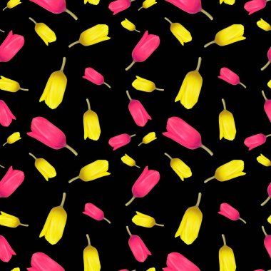 Kusursuz lale deseni, üst manzara. Siyah bir arka planda izole edilmiş. Düz yatıyordu. Çiçek deseni. Sevgililer Günü geçmişi. Çiçek deseni.