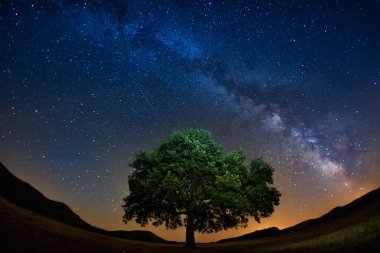 Samanyolu bir yıldızlı gece yalnız bir ağaç üzerinde.