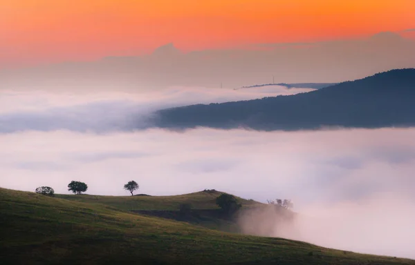 Morgenlandschaft Mit Nebel Über Den Trascu Bergen Rumänien — Stockfoto