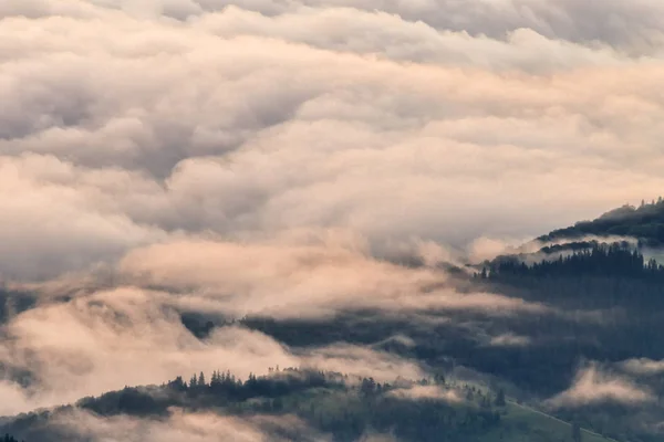 Dichter Nebel Morgen Über Dem Wald Der Ceahlau Berge Rumänien — Stockfoto