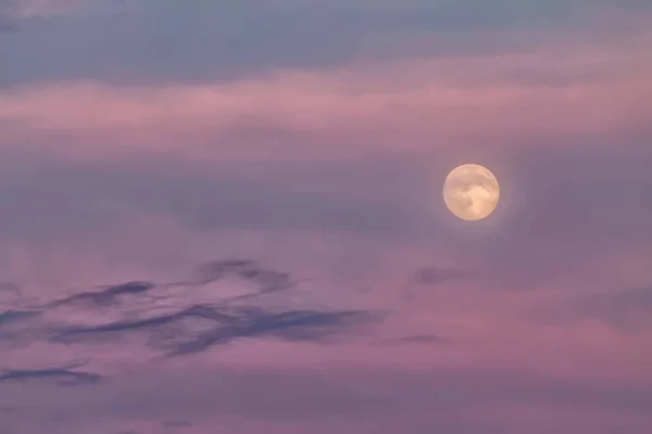 Pleine Lune Brillante Sur Ciel Coucher Soleil Violet Coloré — Photo