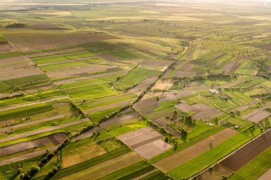 Yeşil alanlar ve altın saat, ağaçlar ilkbaharda, Dobrogea, Romanya ile güzel bir kırsal manzara üzerinde havadan görünümü