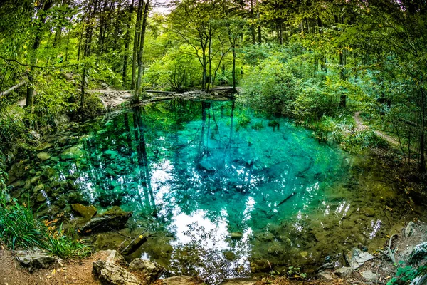 Bel Étang Dans Les Bois Lac Forestier Ochiul Beiului Célèbre — Photo