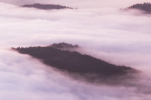 Πανέμορφο Ορεινό Τοπίο Των Μια Ομίχλη Πρωί Ceahlau Massif Ανατολικών — Φωτογραφία Αρχείου