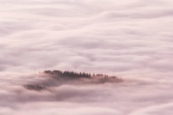 Schöne Berglandschaft Eines Nebligen Morgens Cahlau Massiv Ostkarpaten Moldawien Rumänien — Stockfoto