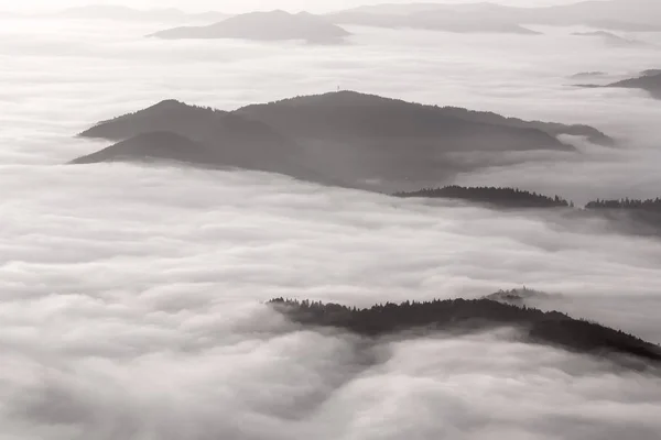 Schöne Berglandschaft Eines Nebligen Morgens Cahlau Massiv Ostkarpaten Moldawien Rumänien — Stockfoto