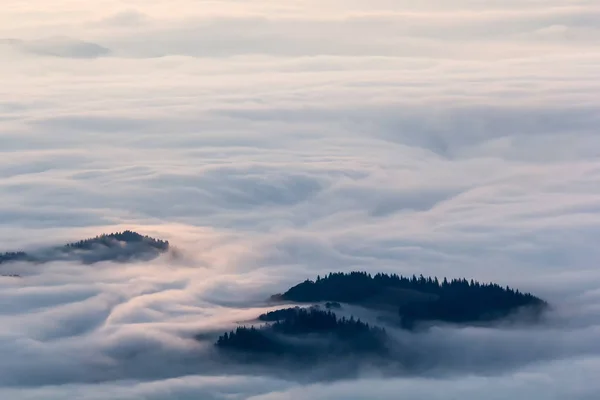 Sisli bir sabah, güzel dağ manzarası Ceahlau massif, Doğu Karpatlar, Moldova, Romanya