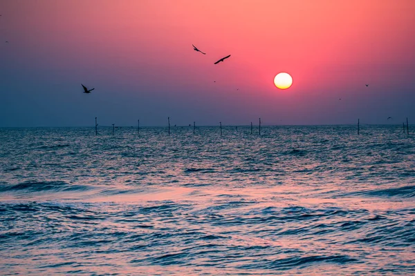 Deniz Karadeniz Romanya Kuşlar Siluetleri Ile Güzel Gündoğumu — Stok fotoğraf