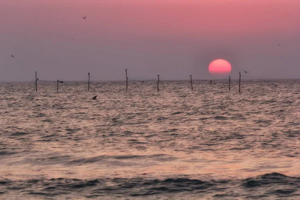 Deniz Karadeniz Romanya Kuşlar Siluetleri Ile Güzel Gündoğumu — Stok fotoğraf