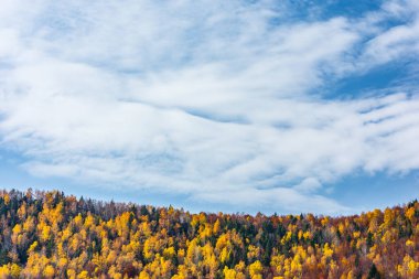 Beautiful autumn landscape with golden and copper colored trees , Sfanta Ana Lake, Harghita, Romania
