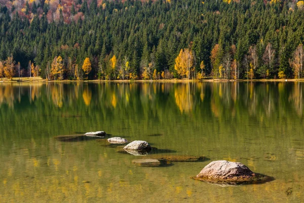 Осенний Пейзаж Золотыми Деревьями Камнями Воде Озеро Фаланта Ана Харгита — стоковое фото