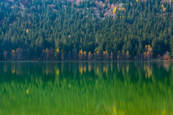 Hermoso Paisaje Otoñal Con Árboles Dorados Color Cobre Lago Sfanta — Foto de Stock