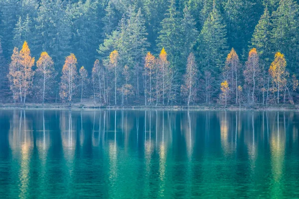 Hermoso Paisaje Otoñal Con Árboles Dorados Color Cobre Lago Sfanta — Foto de Stock