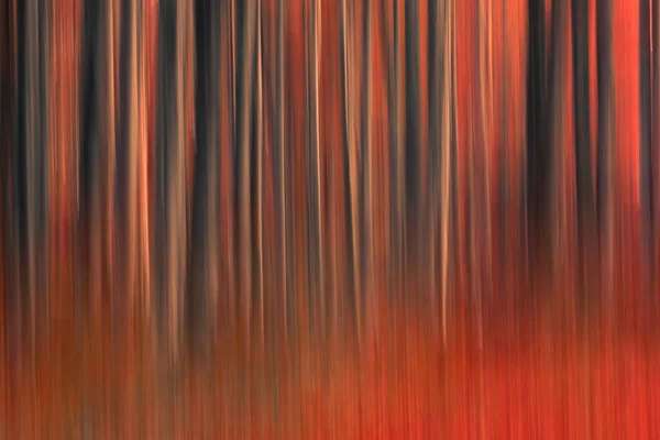 Beautiful Orange Background Imitating Tree Trunks Forest Fiery — Stock Photo, Image