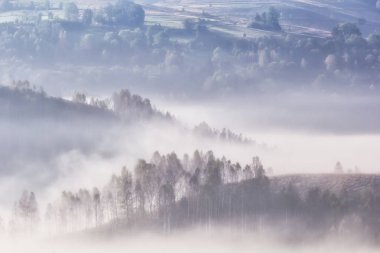 Ağaçlı, Dumesti, Romanya 'da sisli bir sabahın güzel dağ manzarası
