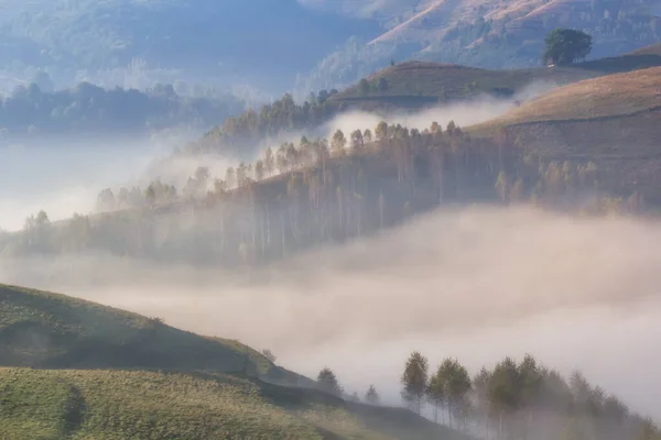 Όμορφο Ορεινό Τοπίο Ενός Ομιχλώδη Πρωί Δέντρα Dumesti Ρουμανία — Φωτογραφία Αρχείου