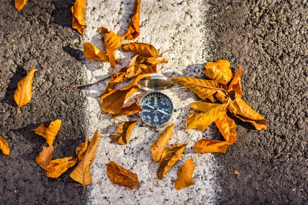 Konceptuální Podzimní Krajina Kovovým Kompasem Padajícími Listy Sfanta Ana Rumunsko — Stock fotografie