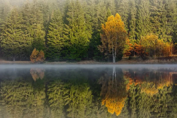 Schöne Herbstlandschaft Mit Goldenen Und Kupferfarbenen Bäumen Nebel Sfanta Ana — Stockfoto