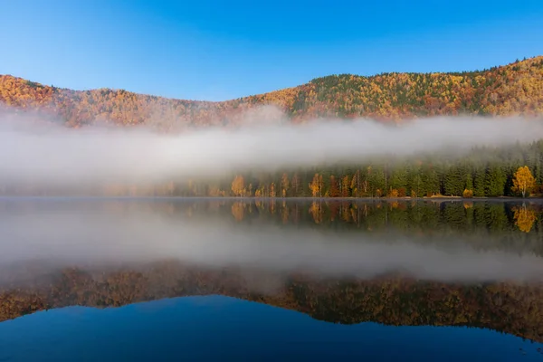 Schöne Herbstlandschaft Mit Goldenen Und Kupferfarbenen Bäumen Nebel Sfanta Ana — Stockfoto