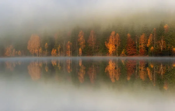 Hermoso Paisaje Otoñal Con Árboles Dorados Color Cobre Niebla Lago — Foto de Stock