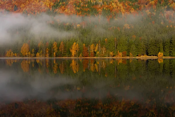 Schöne Herbstlandschaft Mit Goldenen Und Kupferfarbenen Bäumen Nebel Sfanta Ana — Stockfoto