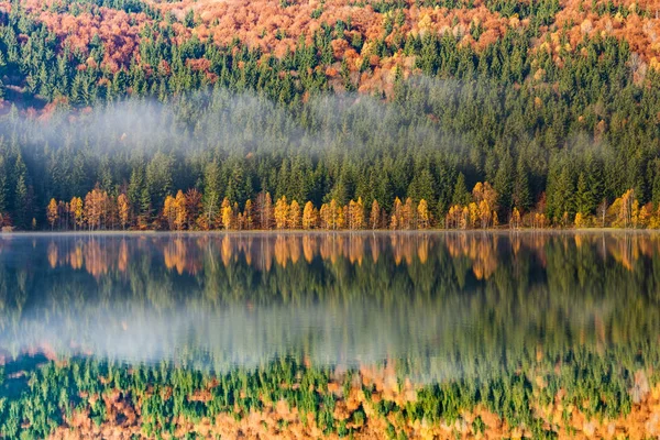 Schöne Herbstlandschaft Mit Goldenen Und Kupferfarbenen Bäumen Und Morgennebel Über — Stockfoto