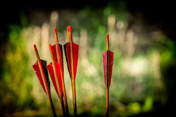 Red archery arrows on a green background with a beautiful bokeh, Romania