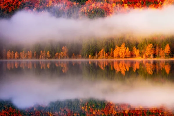 Schöne Herbstlandschaft Mit Goldenen Und Kupferfarbenen Bäumen Nebel Sfanta Ana — Stockfoto