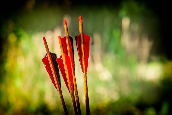 Red bow arrows on a green background with a beautiful bokeh, Romania