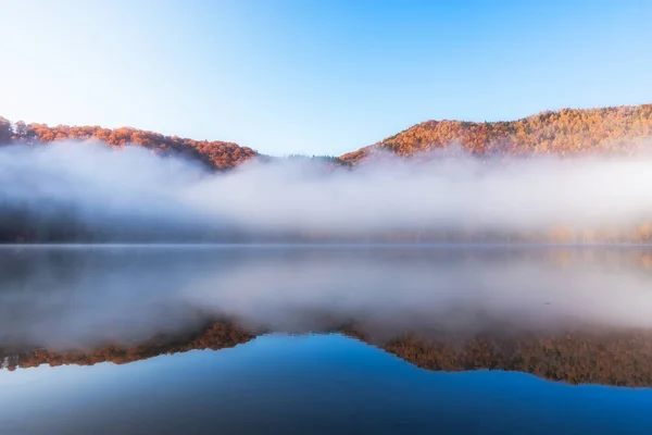 Beautiful Autumn Landscape Golden Copper Colored Trees Morning Mist Water — Stock Photo, Image