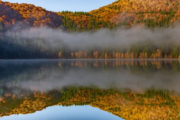 Beautiful Autumn Landscape Golden Copper Colored Trees Morning Mist Water — Stock Photo, Image